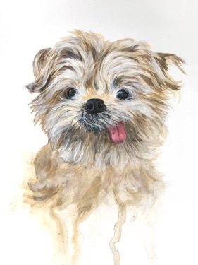 Portrait Painting of Jann Arden's Dog in a realistic style with artistic splashes and strokes at the bottom.